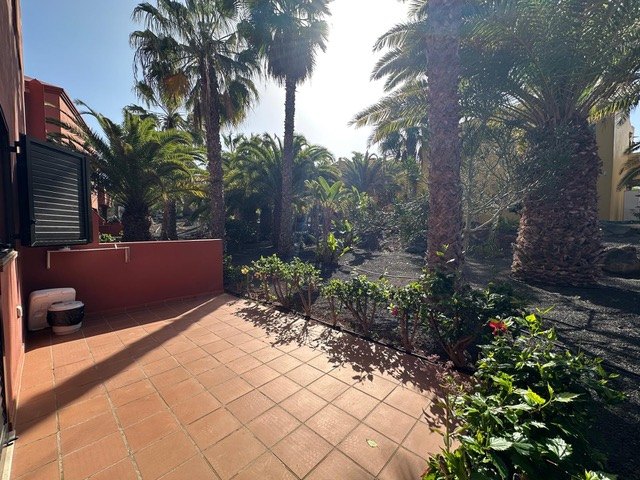 The tiled terrace and the gardens beyond it
