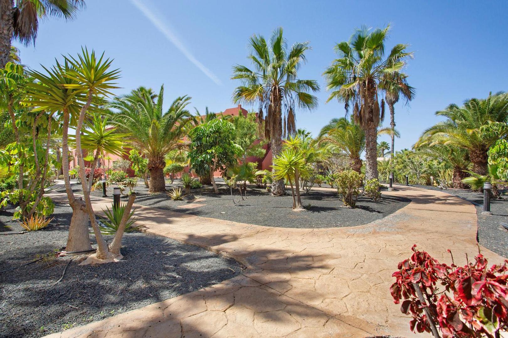 Tropical gardens and palm trees in the resort