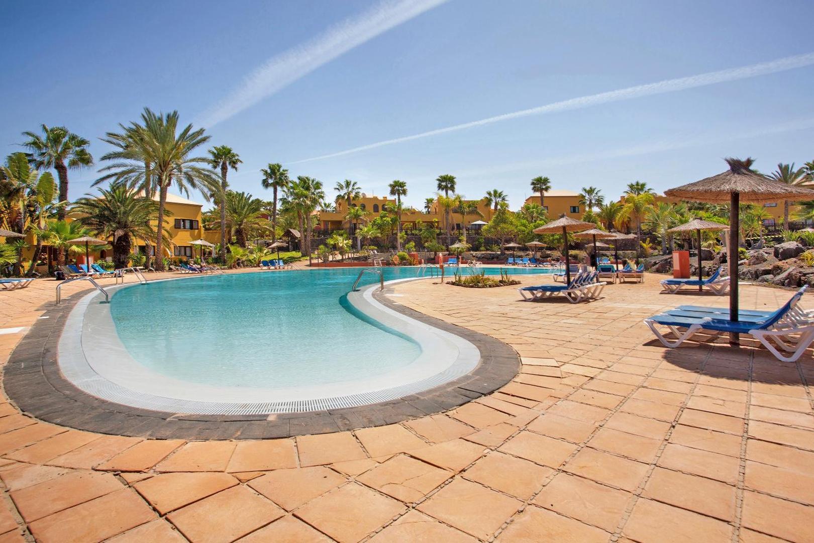 Swimming pool surrounded by palm trees