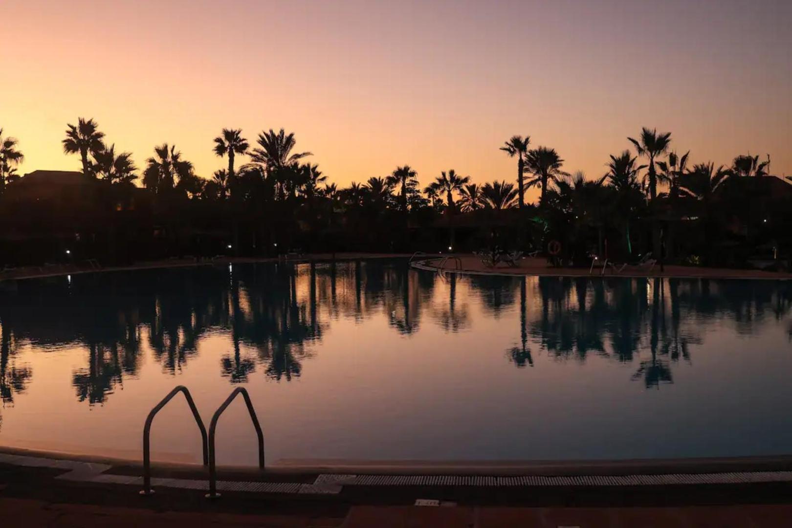 The shared pool at Oasis Tamarindo at sunset, palm trees in silhouette