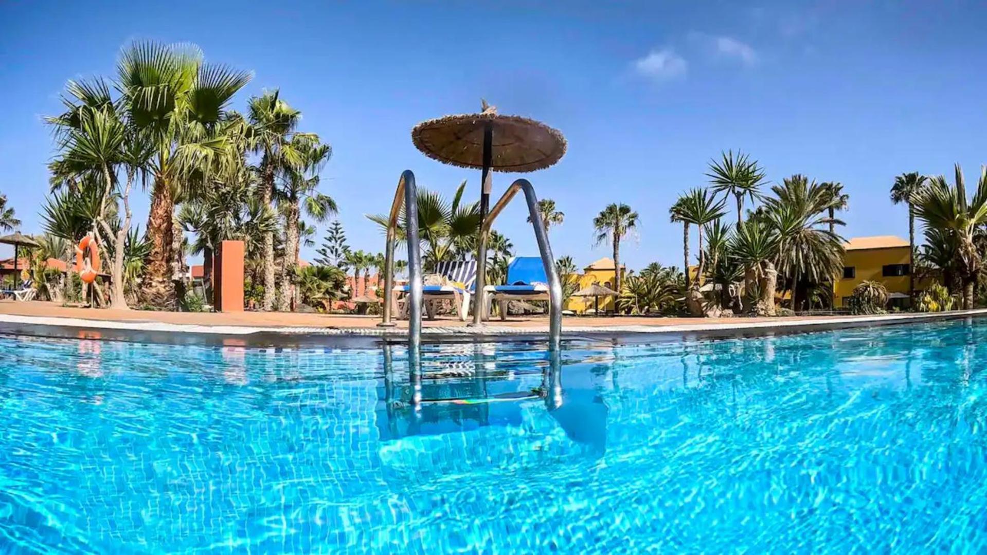 Poolside umbrella and palms