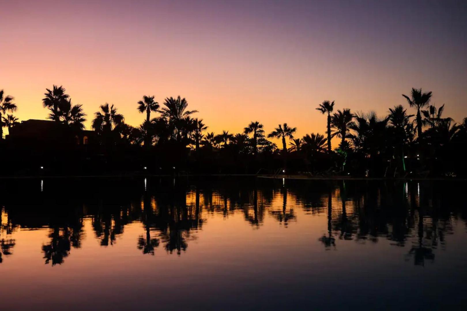 Sunset behind palm trees over the water